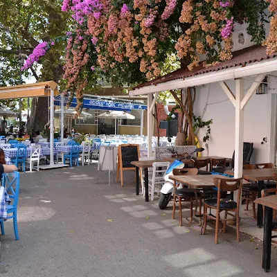 Adres Köşe Meyhane - Çınar Kebap