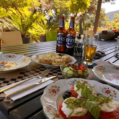Bahçede Sinek Kafe