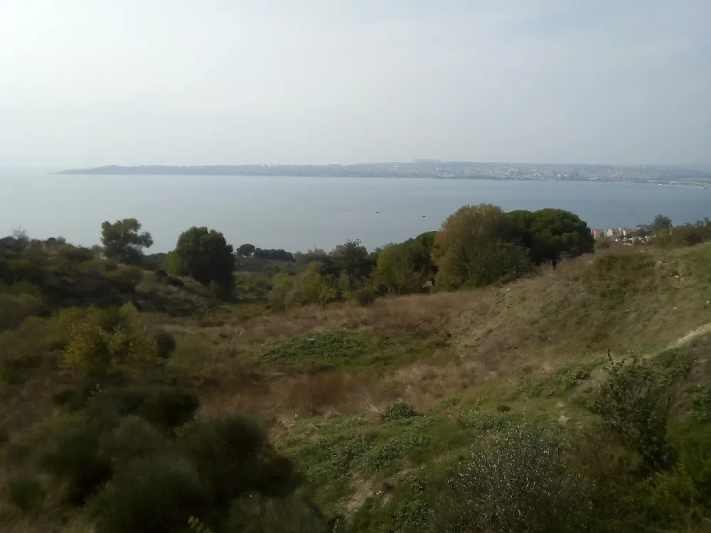 Belediye Parki