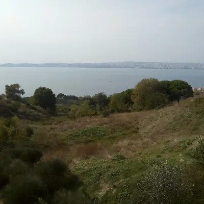 Belediye Parki