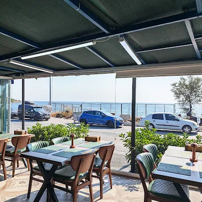 Mavi Beyaz Balık