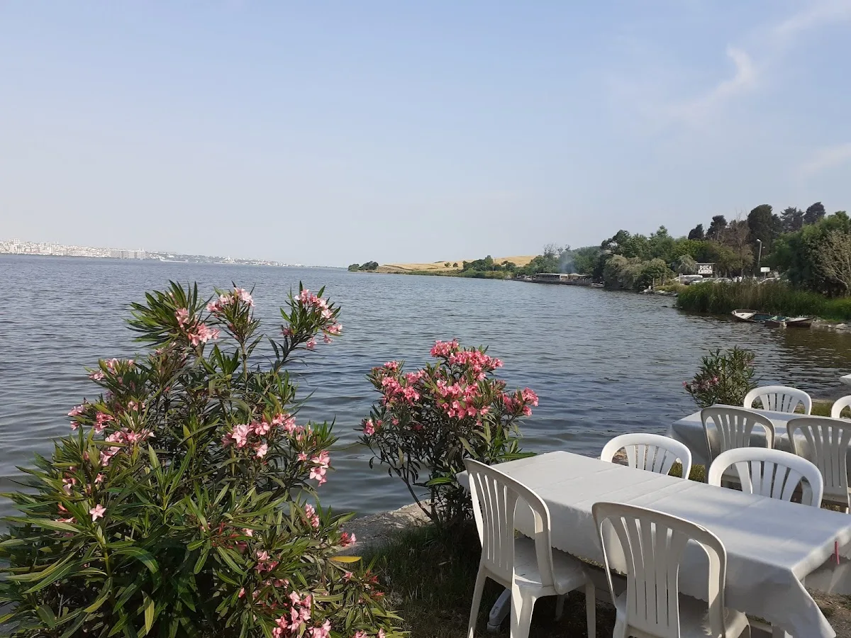 Muhtarın Yeri