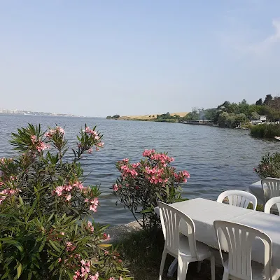 Muhtarın Yeri