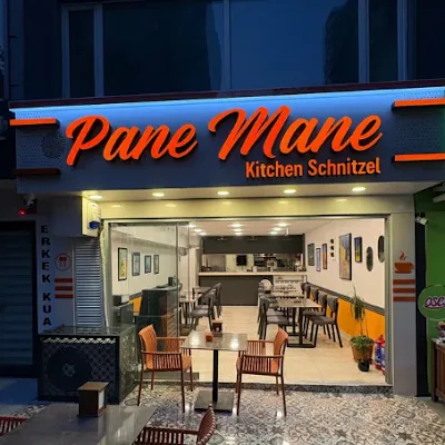 Pane Mane Kitchen Schnitzel