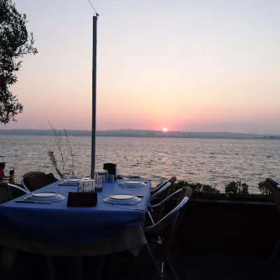 Phoenıx